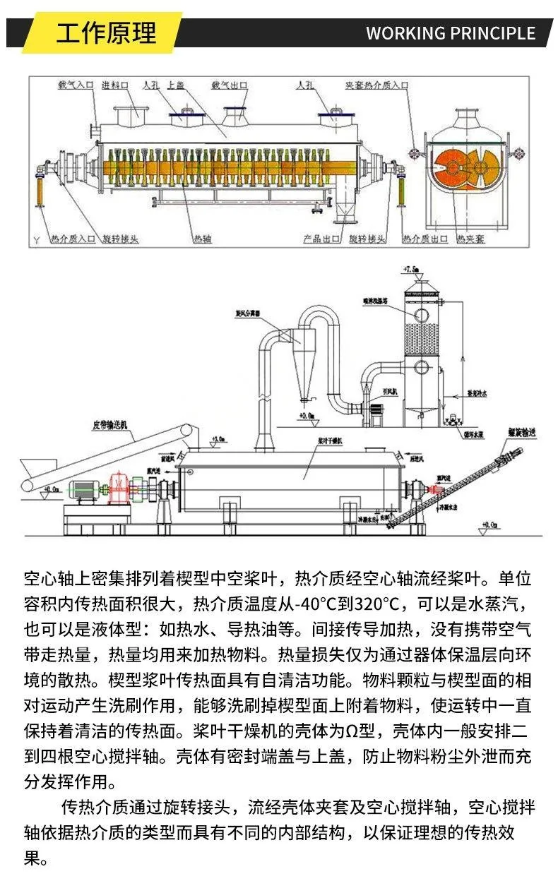Paddle Dryer product image 21